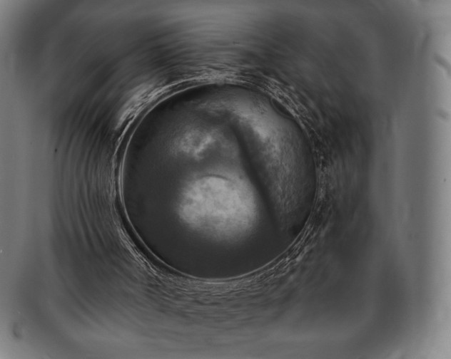 X0000091460002200708231326