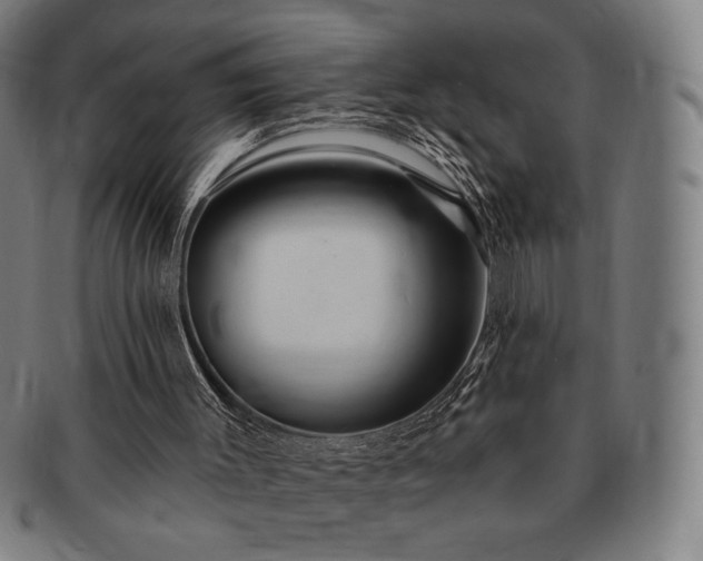 X0000091460003200708231326