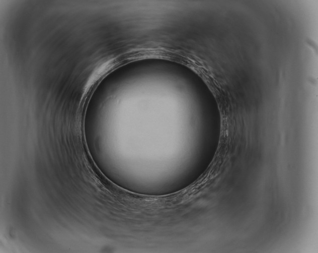 X0000091460004200708231326