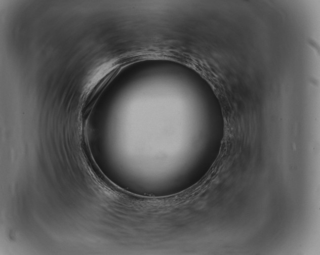 X0000091460005200708231326