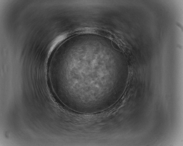 X0000091460006200708231326