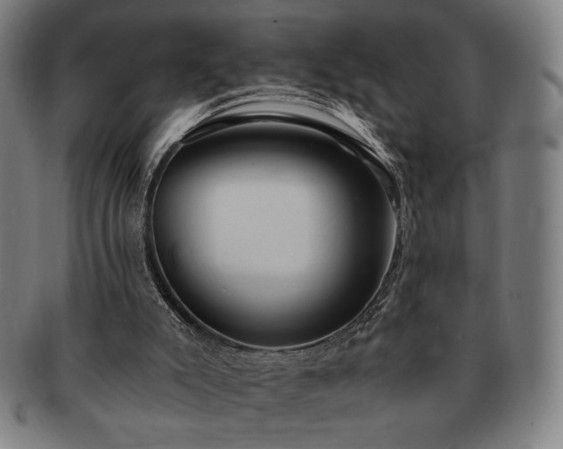 X0000091460007200708231326