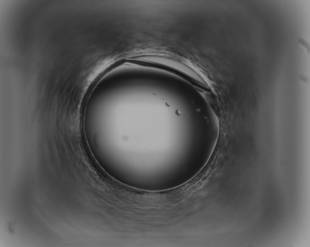 X0000091460008200708231326