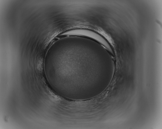 X0000091460009200708231326