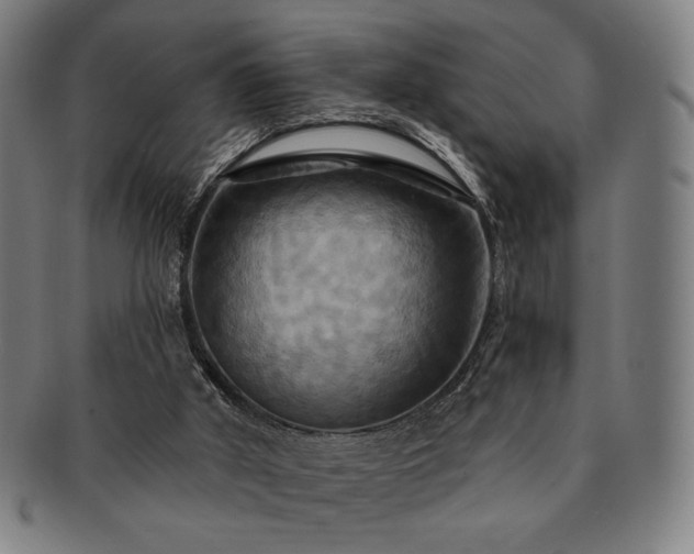 X0000091460010200708231326