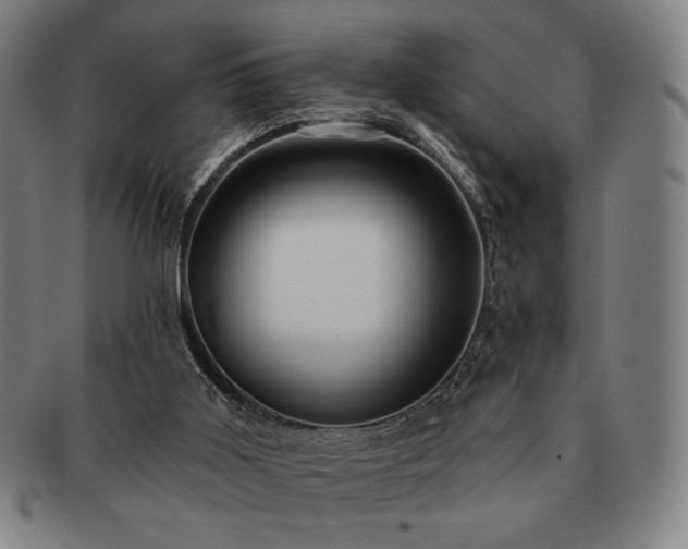 X0000091460011200708231326