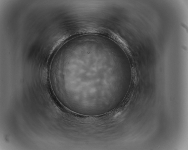 X0000091460012200708231326