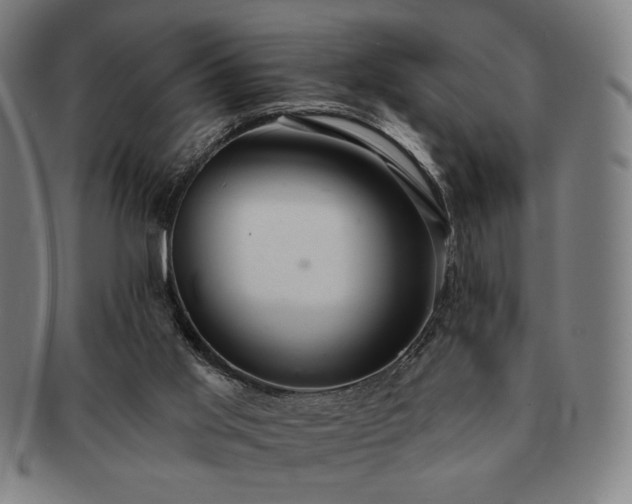 X0000091460013200708231326