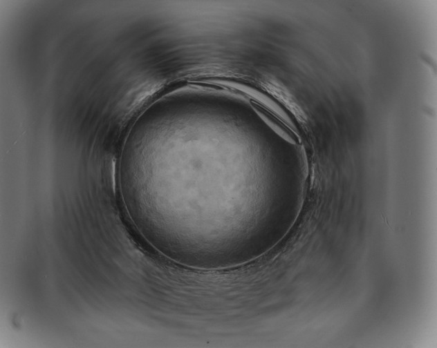 X0000091460014200708231326