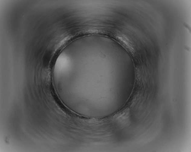 X0000091460016200708231326