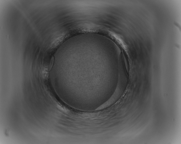 X0000091460017200708231326