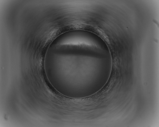 X0000091460018200708231326