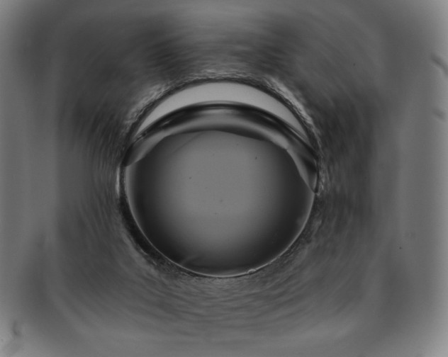 X0000091460019200708231326