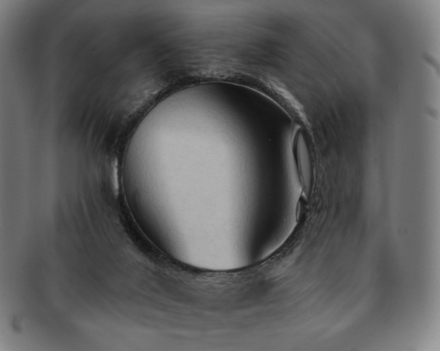 X0000091460020200708231326