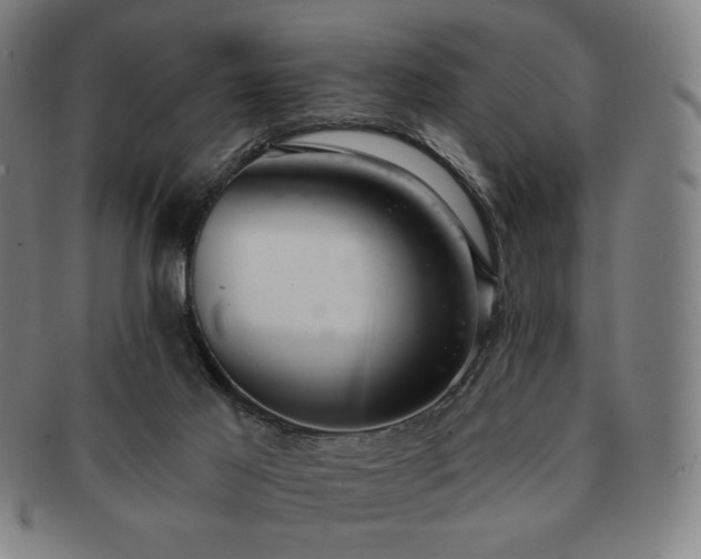 X0000091460021200708231326