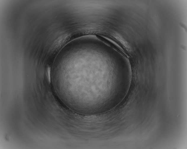 X0000091460022200708231326