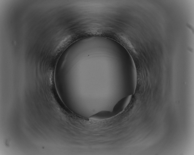 X0000091460023200708231326