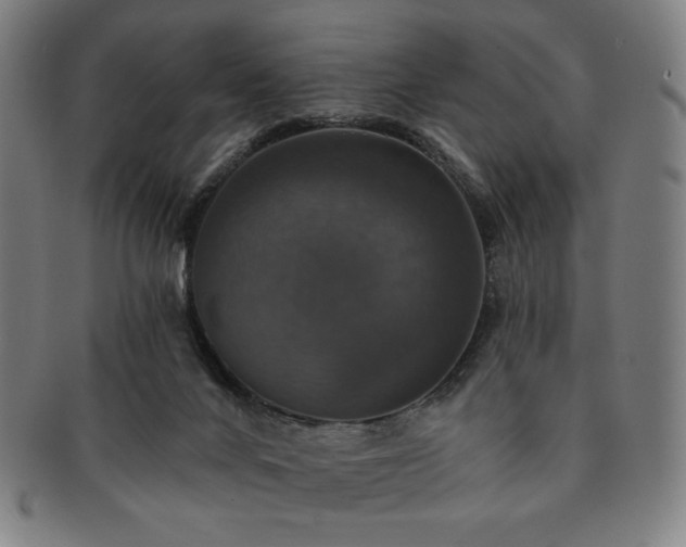 X0000091460024200708231326