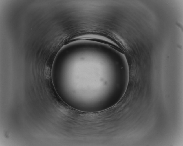 X0000091460025200708231326