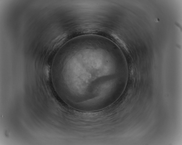 X0000091460026200708231326