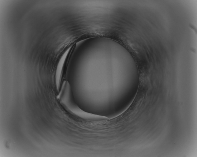 X0000091460027200708231326