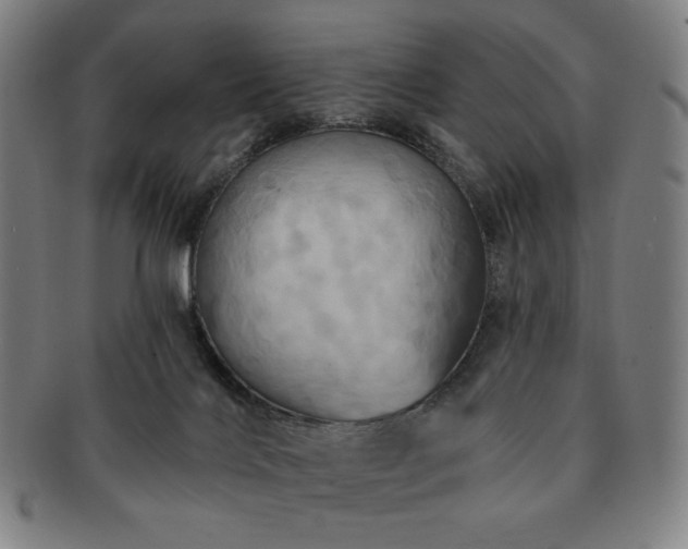 X0000091460028200708231326