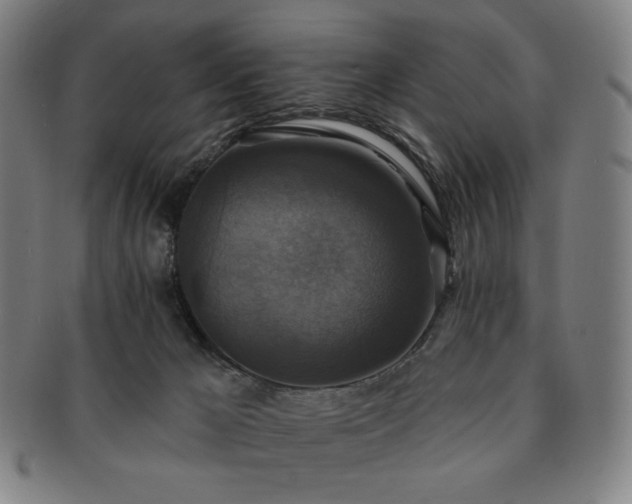 X0000091460029200708231326