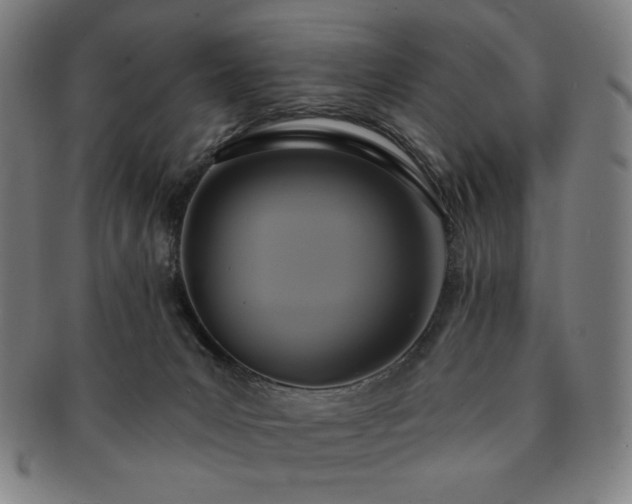 X0000091460031200708231326