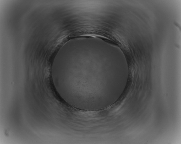 X0000091460032200708231326