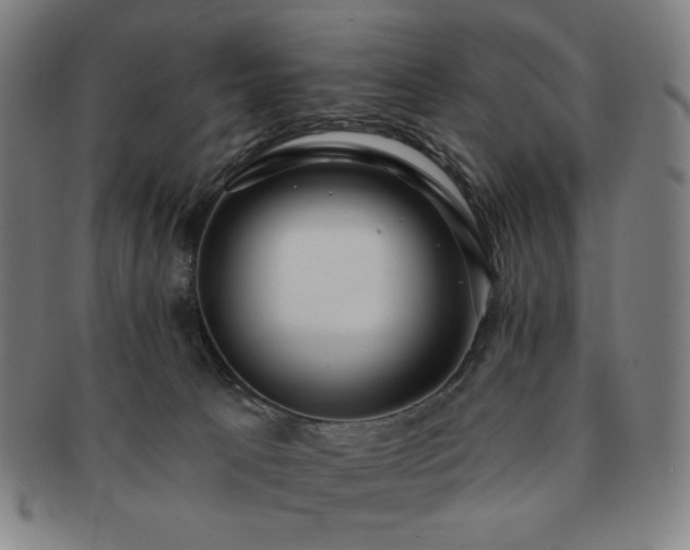 X0000091460033200708231326