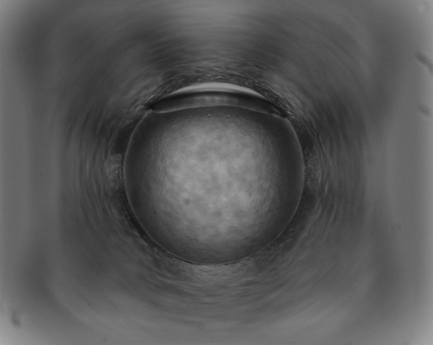 X0000091460034200708231326