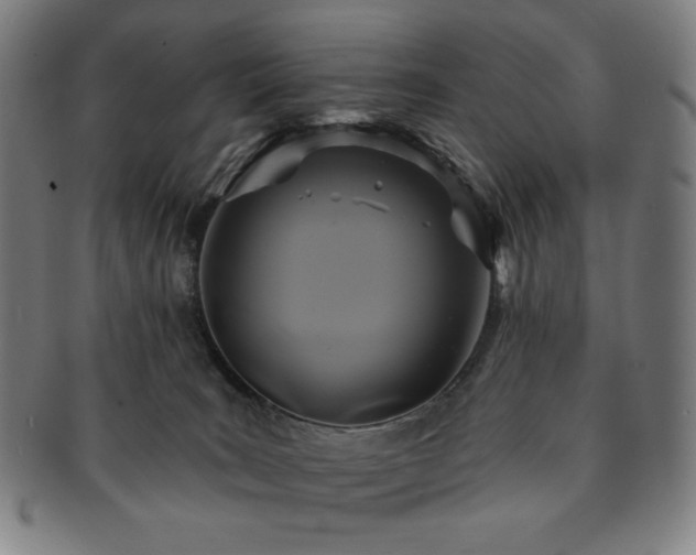 X0000091460035200708231326