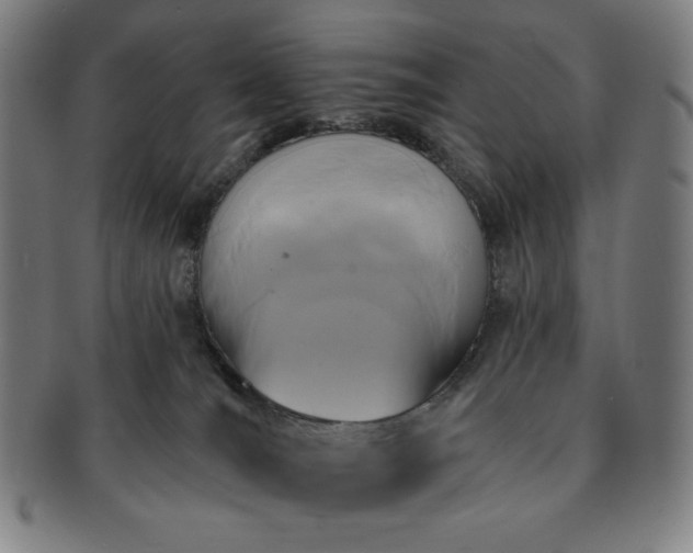 X0000091460036200708231326