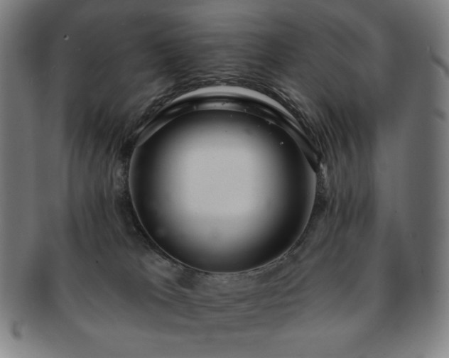 X0000091460037200708231326