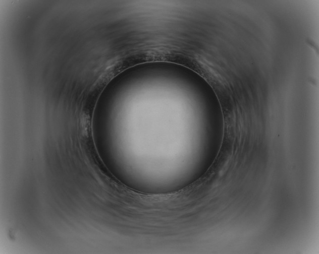 X0000091460038200708231326