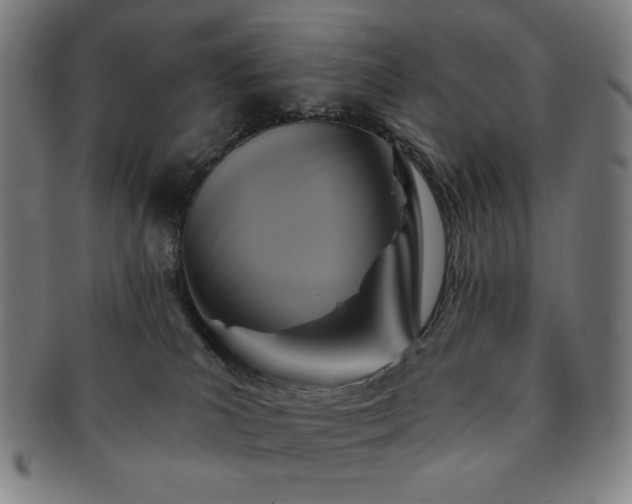 X0000091460039200708231326