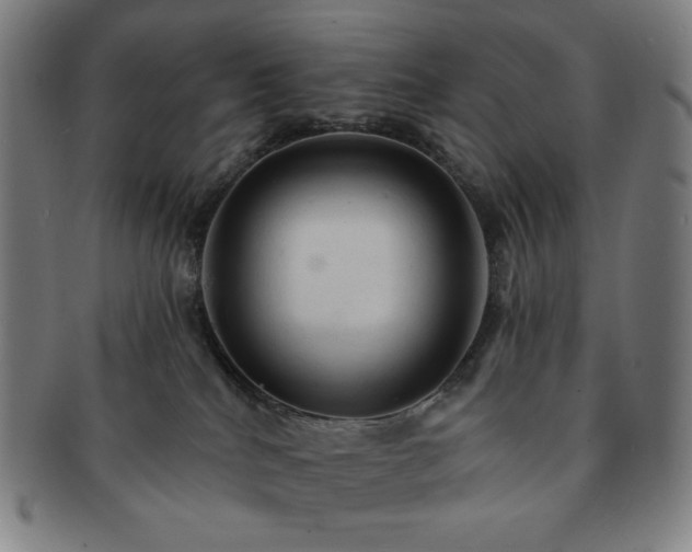 X0000091460040200708231326