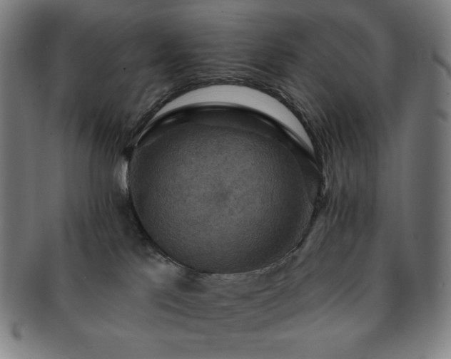 X0000091460041200708231326