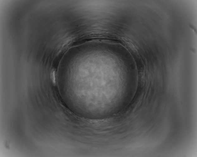 X0000091460042200708231326