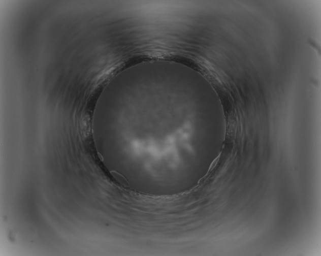 X0000091460043200708231326