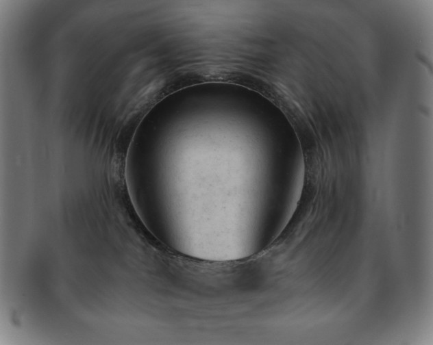 X0000091460044200708231326