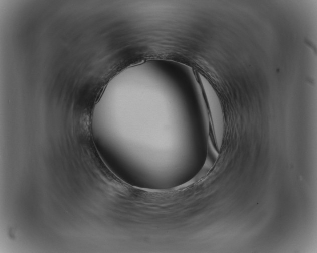 X0000091460045200708231326