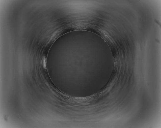 X0000091460046200708231326