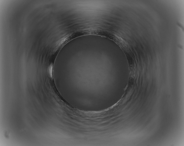 X0000091460047200708231326