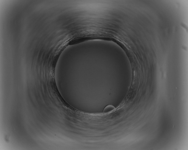 X0000091460048200708231326