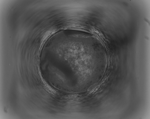 X0000091460049200708231325