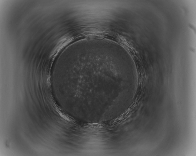 X0000091460050200708231325