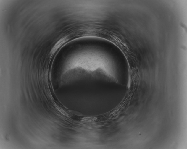 X0000091460051200708231325