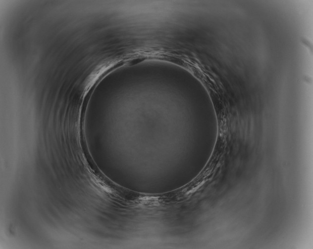 X0000091460052200708231325