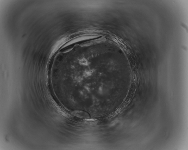 X0000091460053200708231325